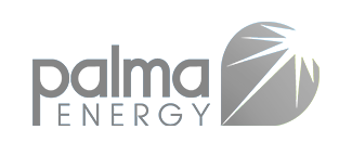 Logo-goc-Palma energy_Grey_-07-10-2020-20-16-43.png
